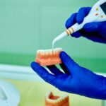 Dentist holding teeth model denture and periodontal probe.